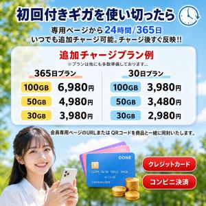 【月額0円・返却不要・契約不要 】ポケットWi...の詳細画像2