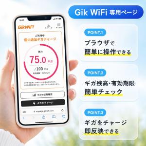 【月額0円・返却不要・契約不要 】ポケットWi...の詳細画像5