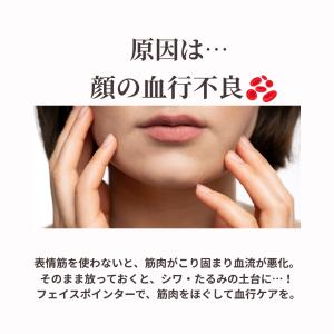 ポスポス棒 ポスポス フェイスポインター かっ...の詳細画像3