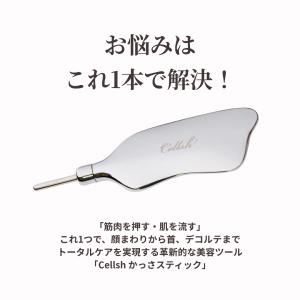 ポスポス棒 ポスポス フェイスポインター かっ...の詳細画像4