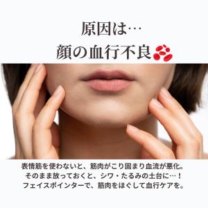 フェイスポインター ポスポス棒 トリプルスティ...の詳細画像3