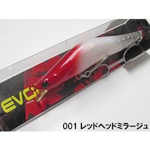 ブレイズアイ　エヴォルーツ120F　ネコポス対応商品｜gill