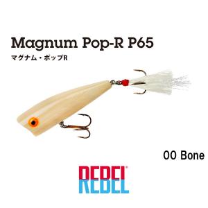 ボンバダアグア マジックスティックMagic Stick 110 ネルソンナカムラ