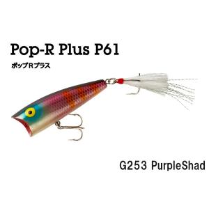 レーベル POP-R ポップR P60 アソートセット 楽天市場】【予約】3個セット【取寄せ商品】REBEL レーベル Pop