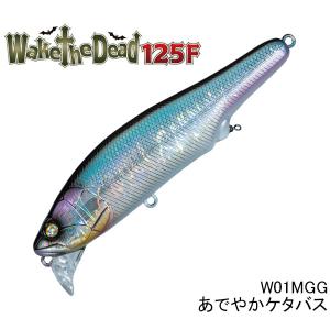 ウィップラッシュファクトリー ローディーラーエクストリーム