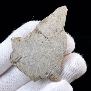 PROME【日本彩珠宝研究所鑑別済み】ムオニオナルスタ・鉄質隕石