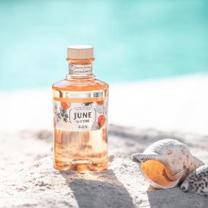 クローバージン ラッキー4 クラフトジン ベルギー COCKTAIL クローバージン ラッキー4 Clover Gin Lucky n°4