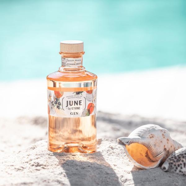 ジューン・ジン / JUNE GIN