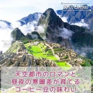 コーヒー豆 焙煎したて直送 マチュピチュ天空(...の詳細画像3