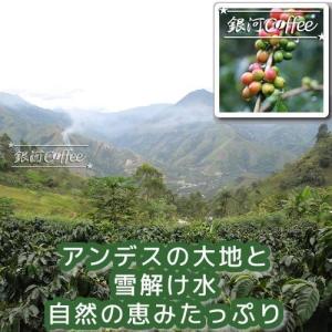 コーヒー豆 焙煎したて直送 マチュピチュ天空(...の詳細画像4