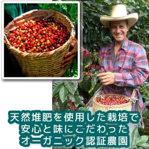 コーヒー豆 焙煎したて直送 マチュピチュ天空(...の詳細画像5