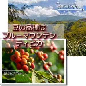 コーヒー豆 焙煎したて直送 南国生まれのゴキゲ...の詳細画像4