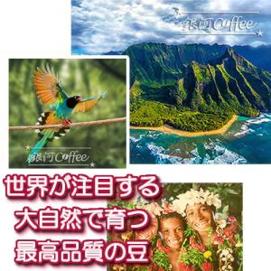 コーヒー豆 焙煎したて直送 パラダイスビーン(...の詳細画像3