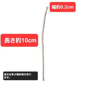 オイルライター用ウィック 替え芯 10本 ジッ...の詳細画像2
