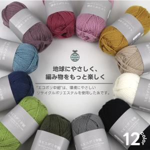 【選べる12色】エコポリ中細 1玉販売 リサイ...の詳細画像1