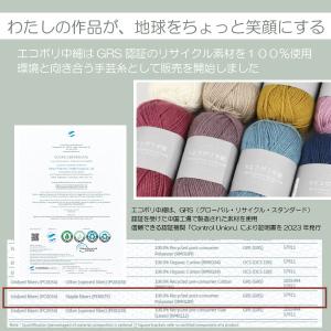 【選べる12色】エコポリ中細 1玉販売 リサイ...の詳細画像2