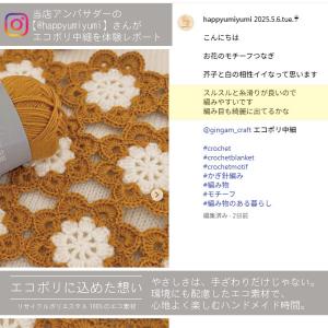 【選べる12色】エコポリ中細 1玉販売 リサイ...の詳細画像3