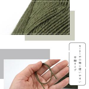 【選べる12色】エコポリ中細 1玉販売 リサイ...の詳細画像5