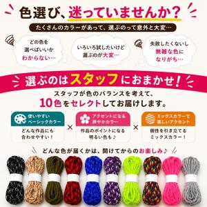 パラコード 10色セット 3m×10本 約30...の詳細画像3