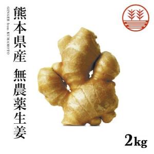 無農薬 生姜 2kg 熊本県産 国産 送料無料 生姜 しょうが ショウガ 根生姜 佃煮 薬味 きざみ...