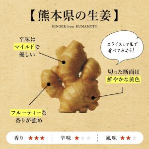無農薬 生姜 1kg 熊本県産 国産 送料無料...の詳細画像3