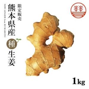 種生姜 熊本県産 無農薬生姜 1kg 国産 生姜 生姜栽培 しょうが栽培