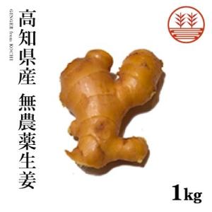 無農薬 生姜 1kg 高知県産 国産 送料無料 生姜 しょうが ショウガ 根生姜 佃煮 薬味 きざみ 生姜 生姜焼き 唐揚げ｜ginger-factory