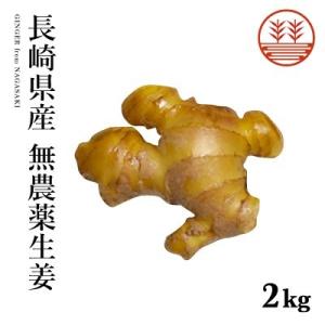 無農薬 生姜 2kg 長崎県産 国産 送料無料 生姜 しょうが ショウガ 根生姜 佃煮 薬味 きざみ...