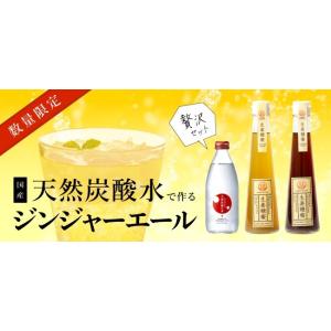 ジンジャーエール 国産天然炭酸水で作ろうセット...の詳細画像2