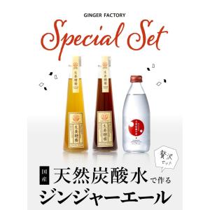ジンジャーエール 国産天然炭酸水で作ろうセット...の詳細画像3