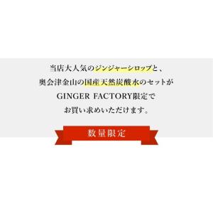 ジンジャーエール 国産天然炭酸水で作ろうセット...の詳細画像4