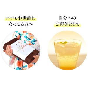 ジンジャーエール 国産天然炭酸水で作ろうセット...の詳細画像5
