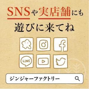 貼る生姜 10枚入り ホットパッチ 温感シート...の詳細画像2