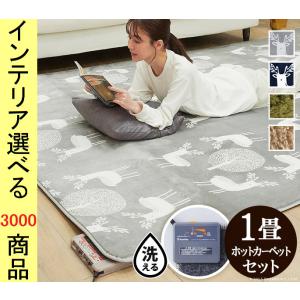 ホットカーペットとホットカーペット用カバー ホットカーペット 1畳 セット 本体+カバー 「 Dフランネルラグ