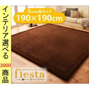 ラグマット マイクロファイバー 190×190×0.5cm ポリエステル 無地 四角形 縁あり さらさらタイプ ベージュ アイボリー グリーン ブラウン色 YC8500027296