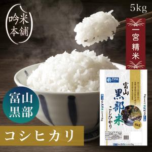 コシヒカリ 米 5kg 白米 送料無料 富山県黒部産 令和5年 一宮精米 米 うるち米、玄米の商品画像