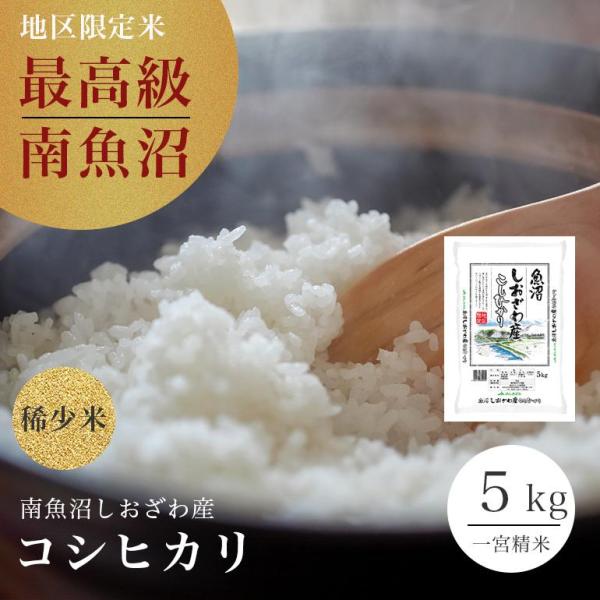 最高級 魚沼産 コシヒカリ 米 5kg 白米 南魚沼 塩沢 しおざわ産 新潟県 送料無料 令和5年 ...