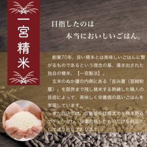 新米 無洗米 コシヒカリ 5kg 三重県産 お...の詳細画像2