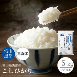 無洗米 コシヒカリ 5kg 富山県黒部産 令和5年産 米 お米 送料無料 一宮精米 こしひかり｜吟米本舗 Yahoo!ショッピング店