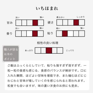 いちほまれ 米 5kg 送料無料 福井県産 一...の詳細画像2