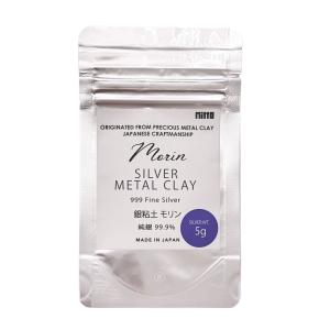 ART CLAY シルバーポリッシュクロス付 銀粘土 アートクレイシルバー20g