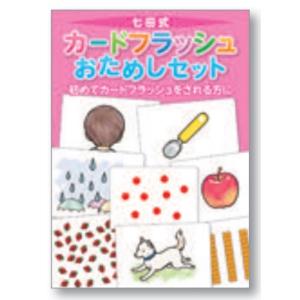 七田式 特典付 七田式フラッシュカード かな絵ちゃん 英語DVDセット