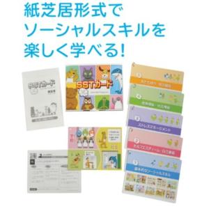 ＳＳＴカード　ＳＳＴＣ−０２　※クロネコゆうパケット対応外金額