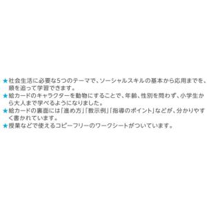 SSTカード SSTC-02 ※クロネコゆうパ...の詳細画像3