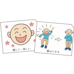 楽しく学ぶ日常生活絵カード 改訂版S(スタンダ...の詳細画像1