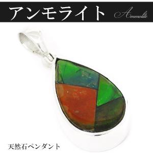 稀少な化石宝石アンモライト・ 【14Kホワイトゴールドペンダントトップ