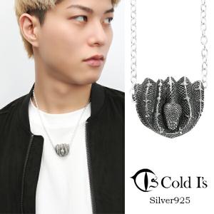 coldrain ネックレス 楽天市場】Cold I's スネーク スカル L ペンダントトップ