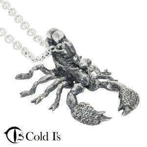蜘蛛 ペンダントトップ メンズ シルバー クモ タランチュラ スパイダー
