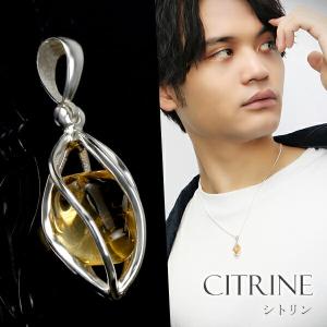 タイガーアイ ネックレス メンズ シルバー デビル トライバル 人気