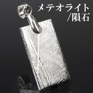 パラサイト 隕石 メテオライト シルバー ペンダントトップ オーバル